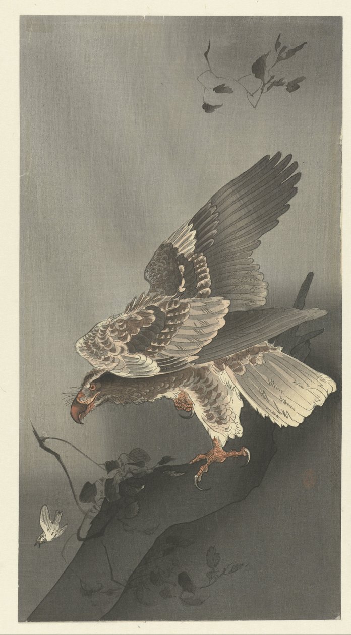 Kotka väijymässä saalista tekijältä Ohara Koson