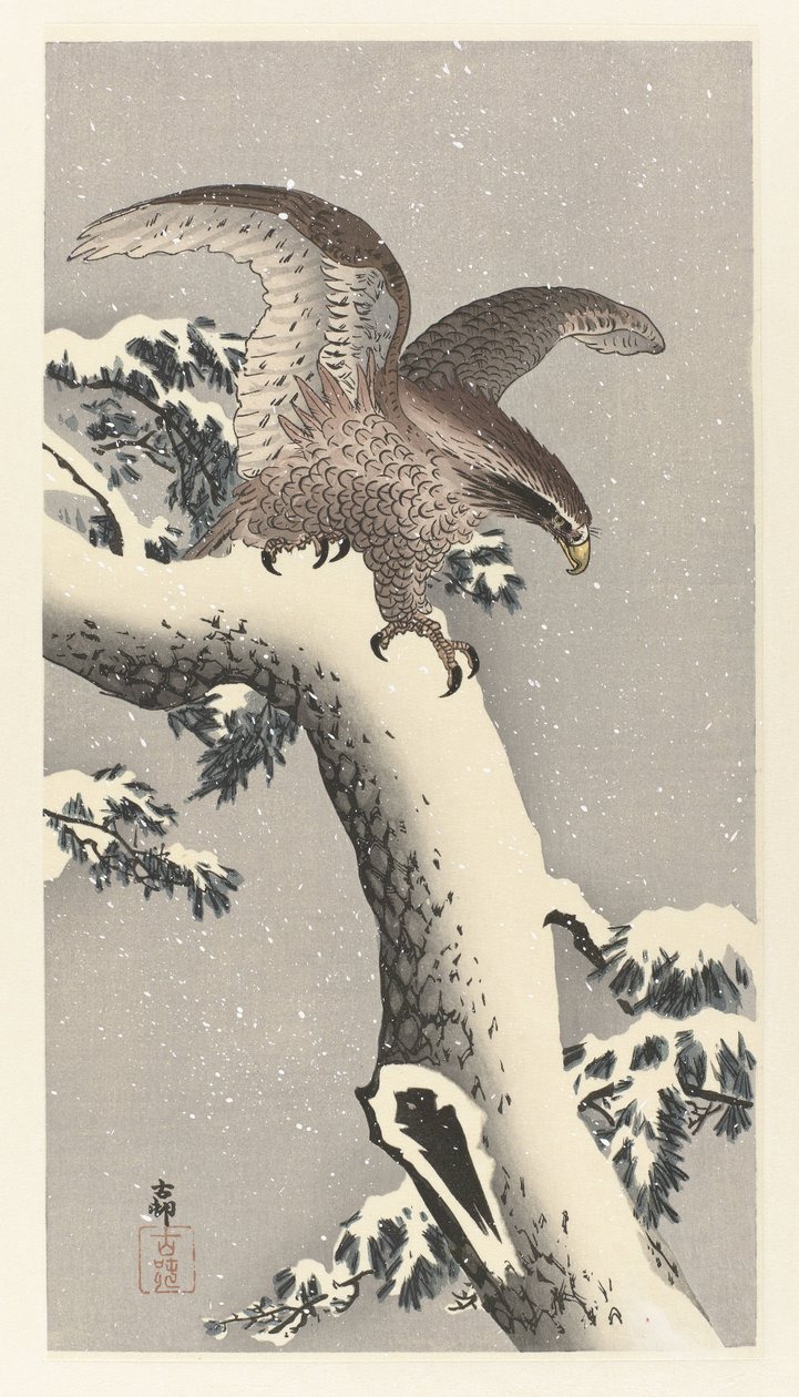 Kotka lumisella männyllä tekijältä Ohara Koson
