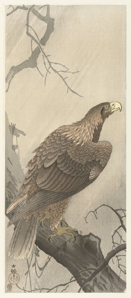 Kotka puun oksalla tekijältä Ohara Koson