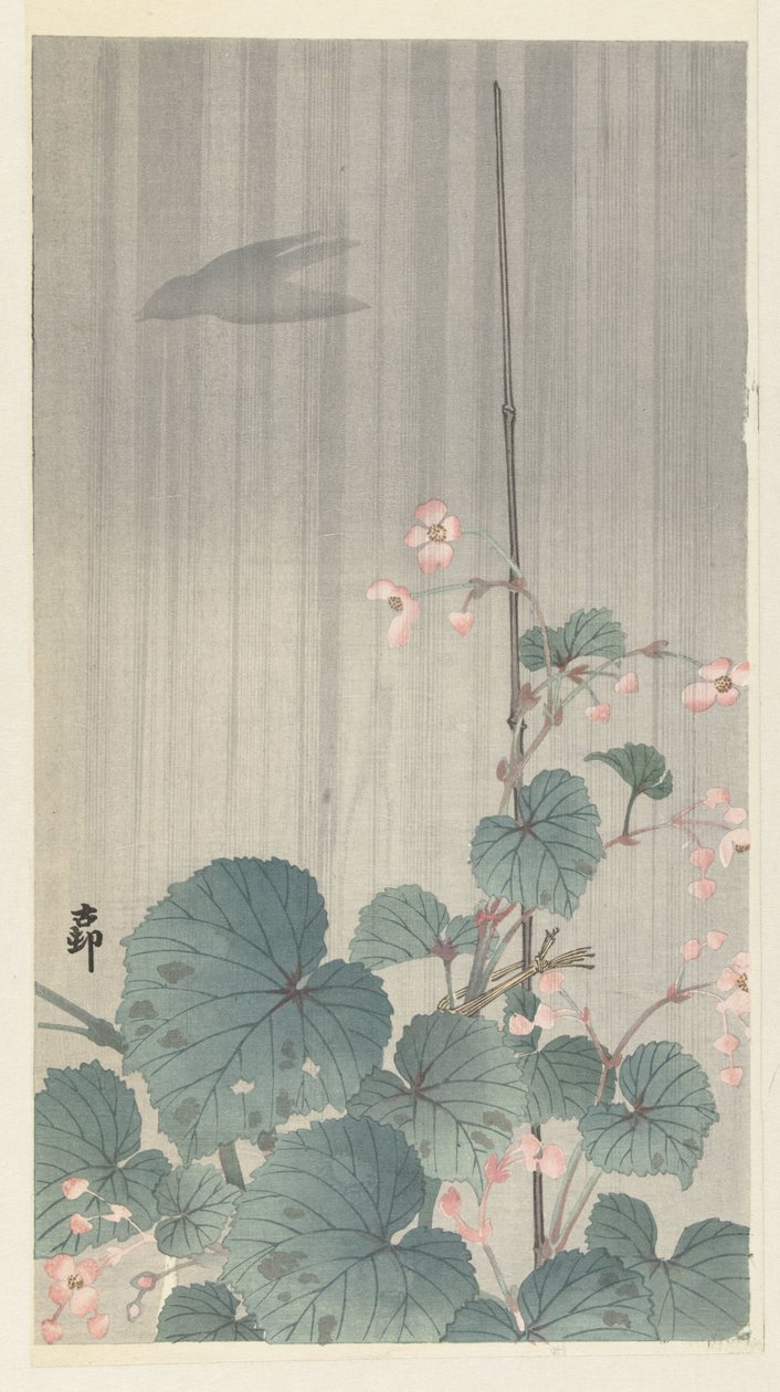 Begonia sateessa tekijältä Ohara Koson