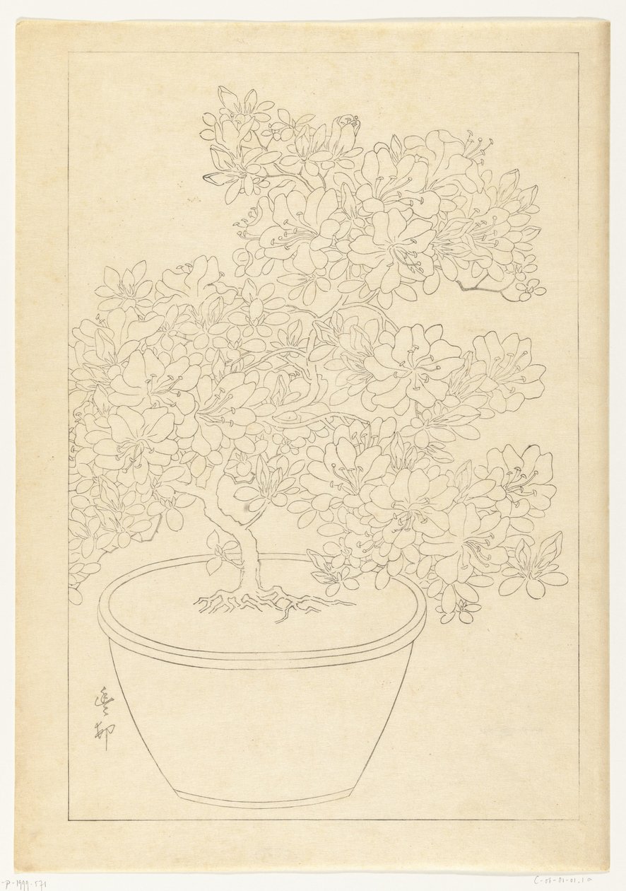 Kukkiva atsalea ruukussa tekijältä Ohara Koson