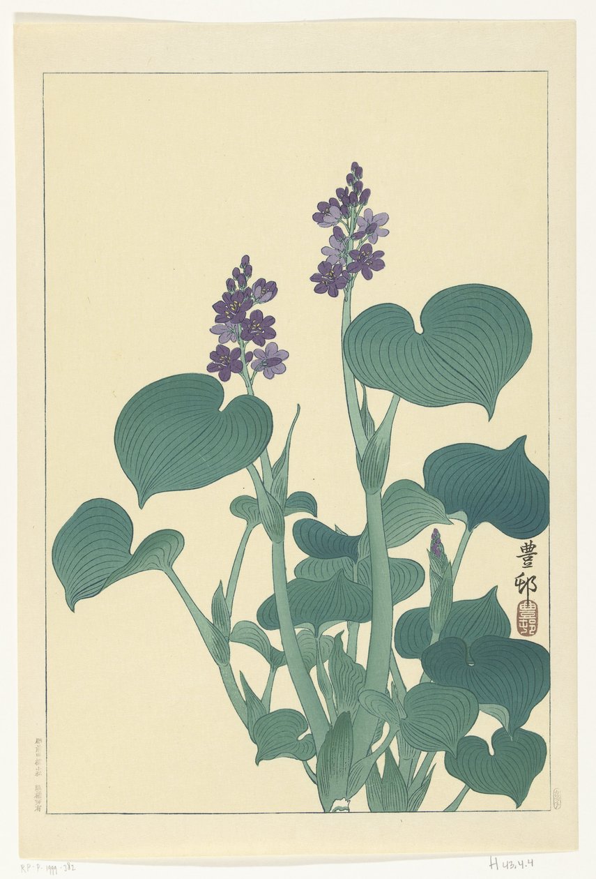 Kukkiva hosta tekijältä Ohara Koson