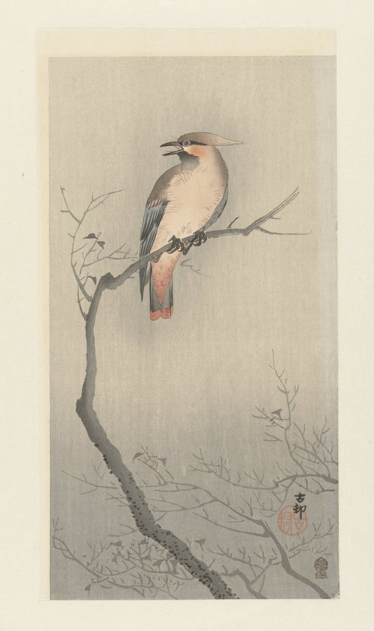 Boheemi vahasiipi oksalla tekijältä Ohara Koson