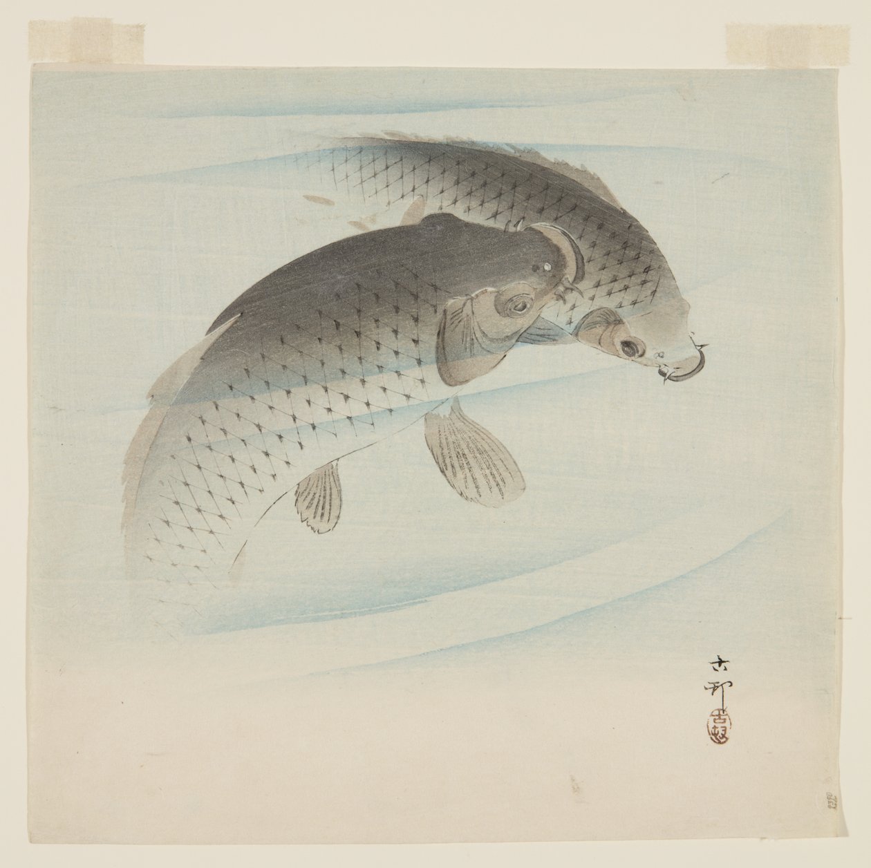Karppi (Koi) (värillinen puupainatus) tekijältä Ohara Koson