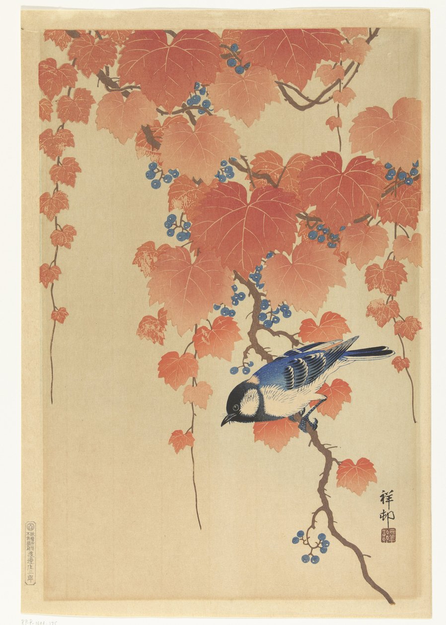 Coal Tit on Paulownia Branch tekijältä Ohara Koson