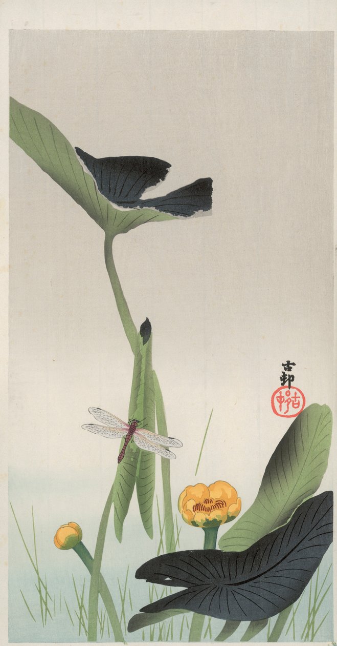 Dragonfly and Lotus (värillinen puupalikkaprintti) tekijältä Ohara Koson