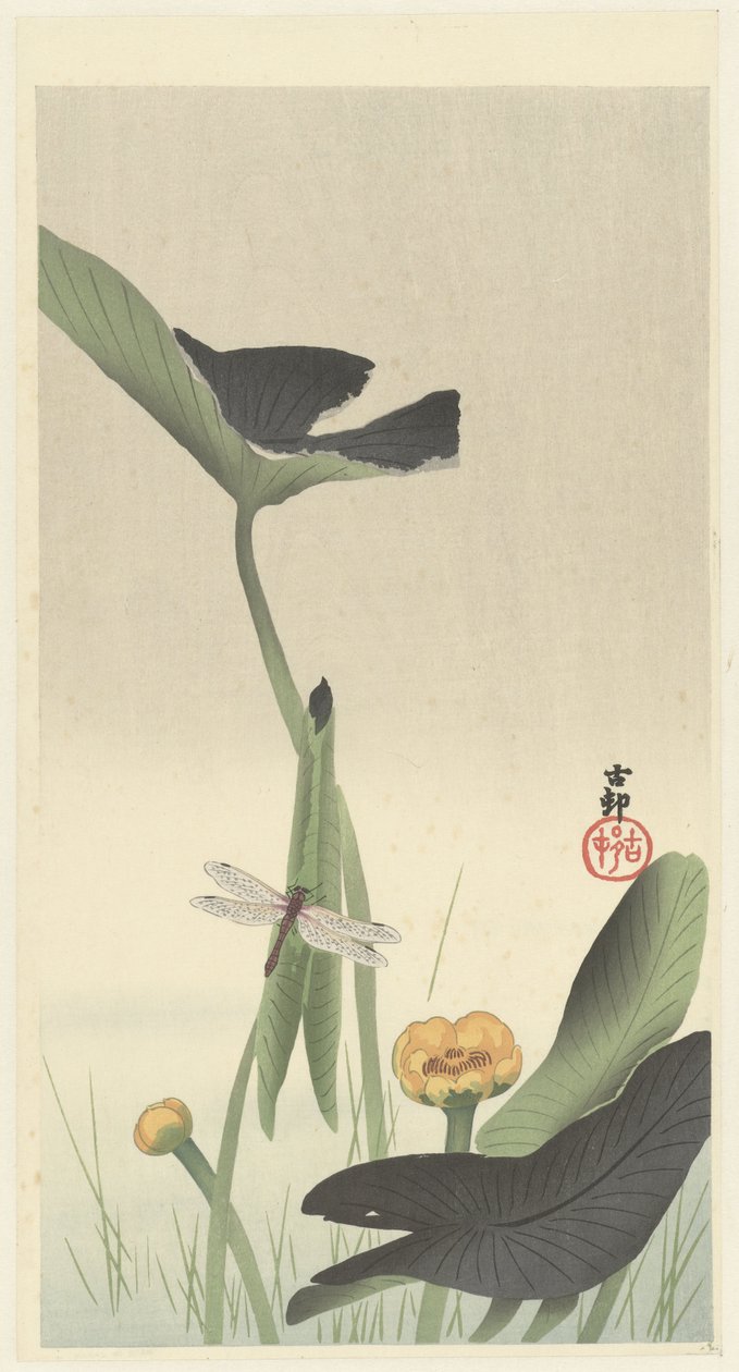 Sudenkorento ja lootuksenkukka, n. 1900-30 (värillinen puupiirros) tekijältä Ohara Koson