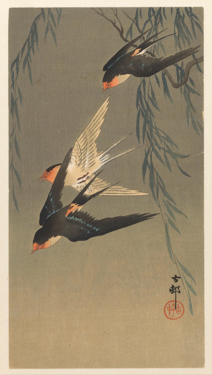 Kolme punakurkkupääskystä sukelluksessa tekijältä Ohara Koson