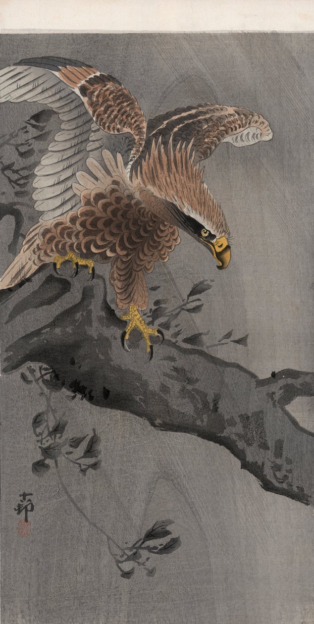 Kotka levitetyillä siiveillä puunrungossa (värillinen puupainatus) tekijältä Ohara Koson