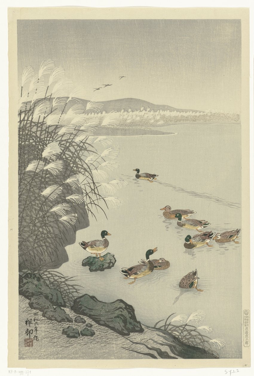 Ankat vedessä tekijältä Ohara Koson