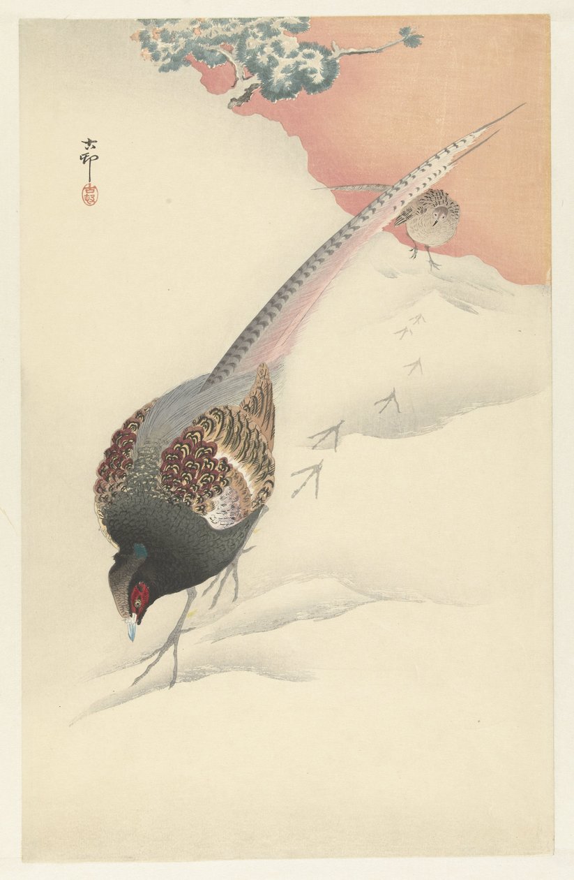 Fasaanipari lumessa tekijältä Ohara Koson