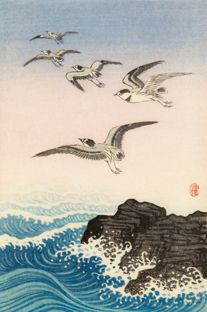 Viisi lokkia meren kiven yläpuolella, 1900-luku (japanilainen printti) tekijältä Ohara Koson