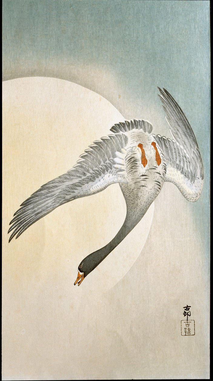 Ankan lento kuunvalossa Ohara Kosonin (1877-1945) ksylografia ja japanilainen printti 1908 Yksityinen kokoelma DR tekijältä Ohara Koson