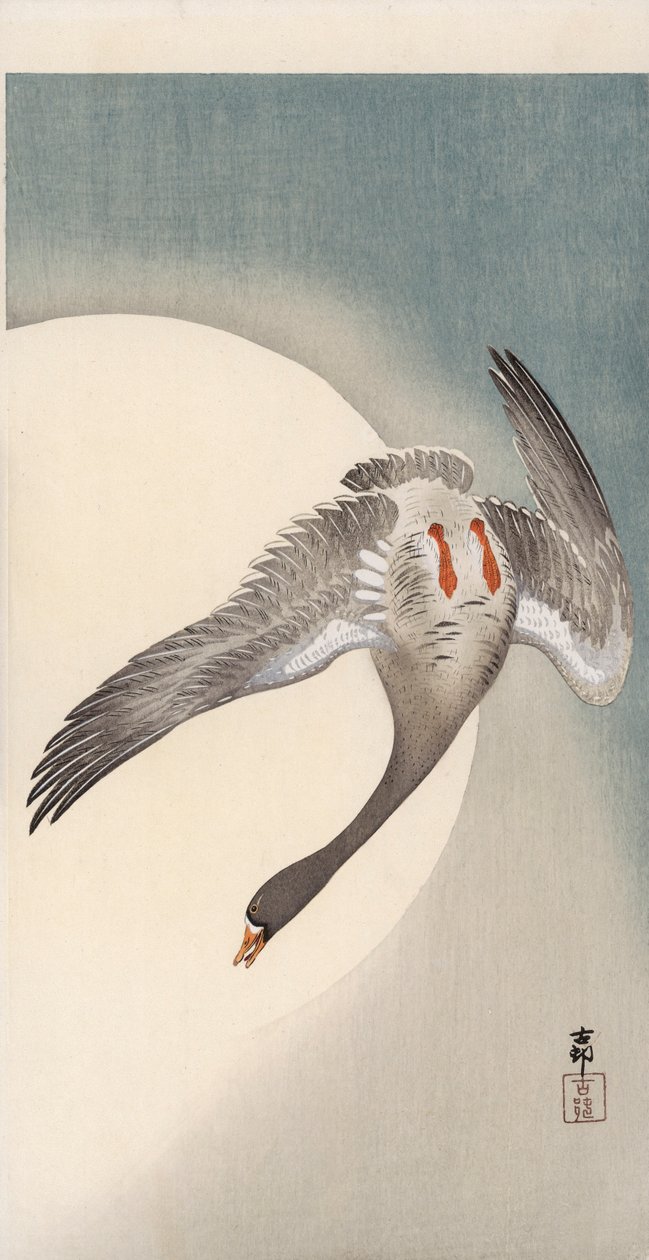 Lentävä valkohousuhanhi alhaalta katsottuna kuun edestä (värillinen puupainatus) tekijältä Ohara Koson