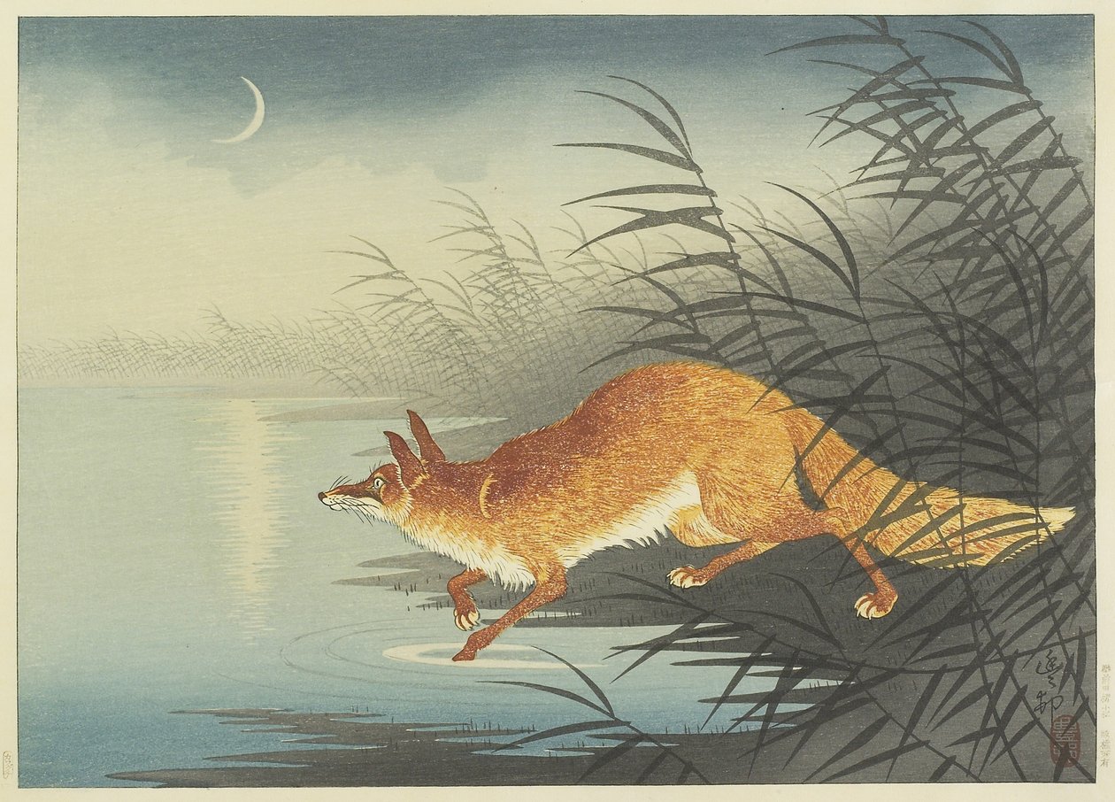 Fox by the Moonlit Water, 1930-luku (värillinen puupalikkaprintti) tekijältä Ohara Koson