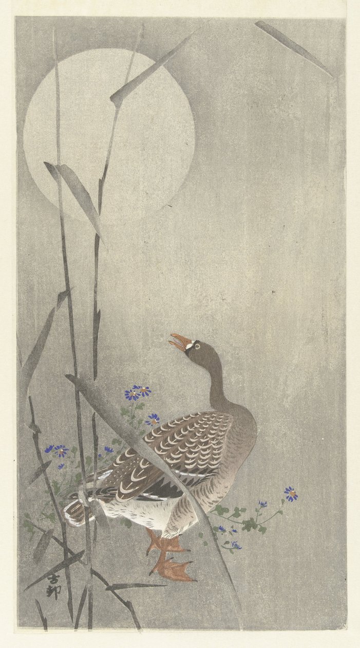 Hanhi täysikuussa tekijältä Ohara Koson