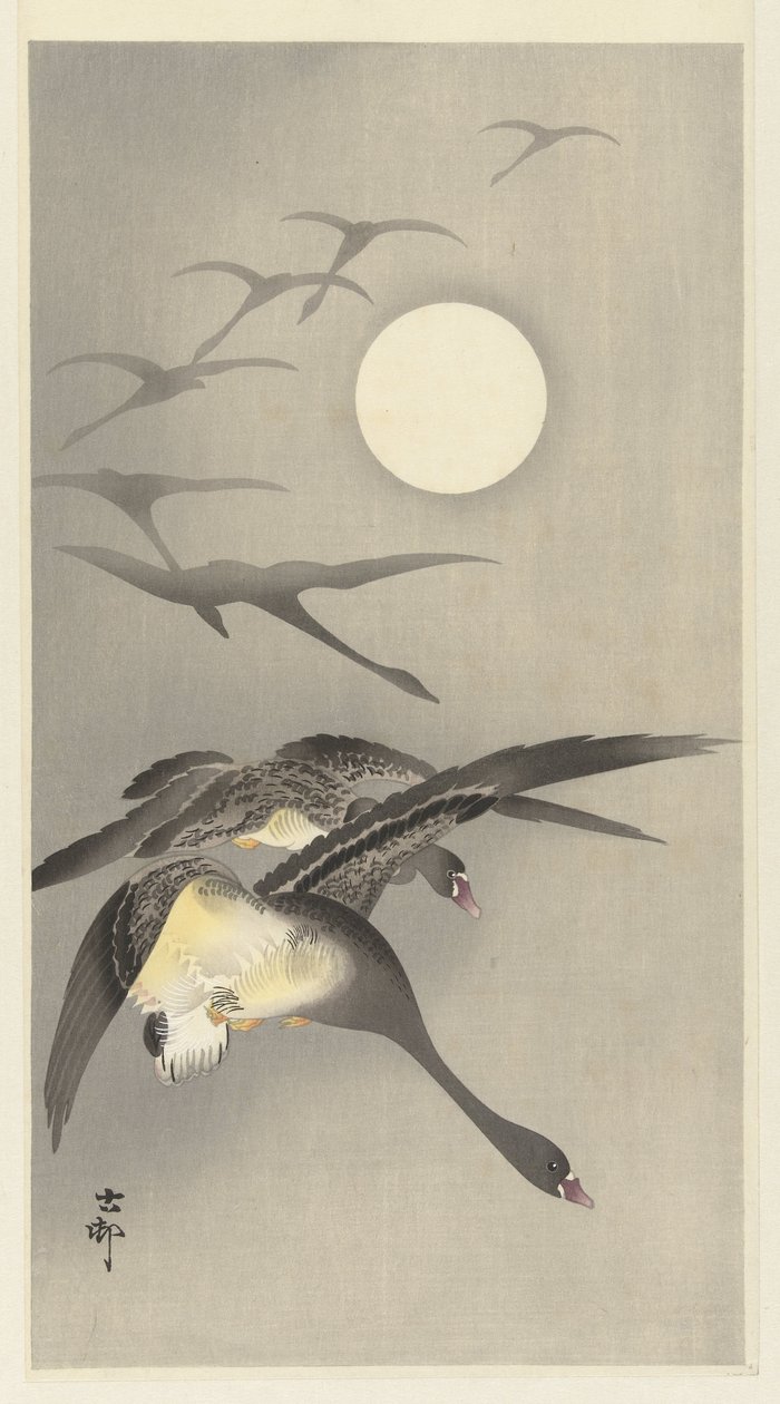 Hanhet täysikuussa tekijältä Ohara Koson