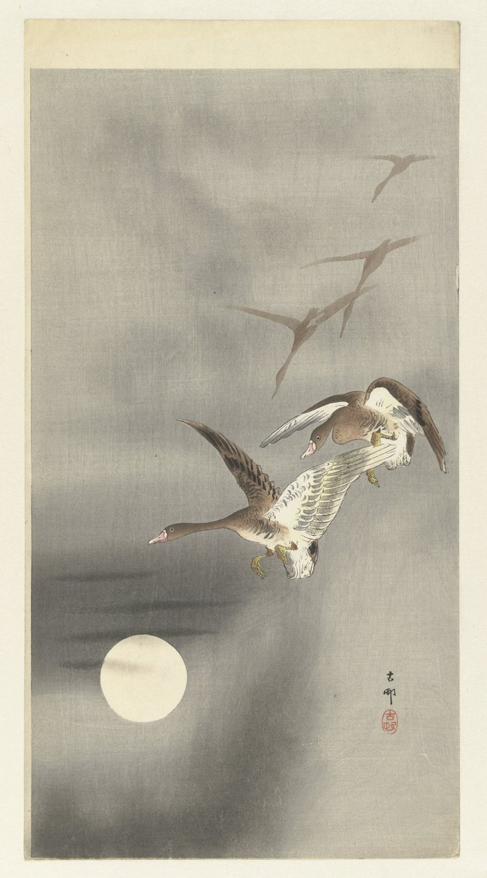 Hanhet lennossa tekijältä Ohara Koson