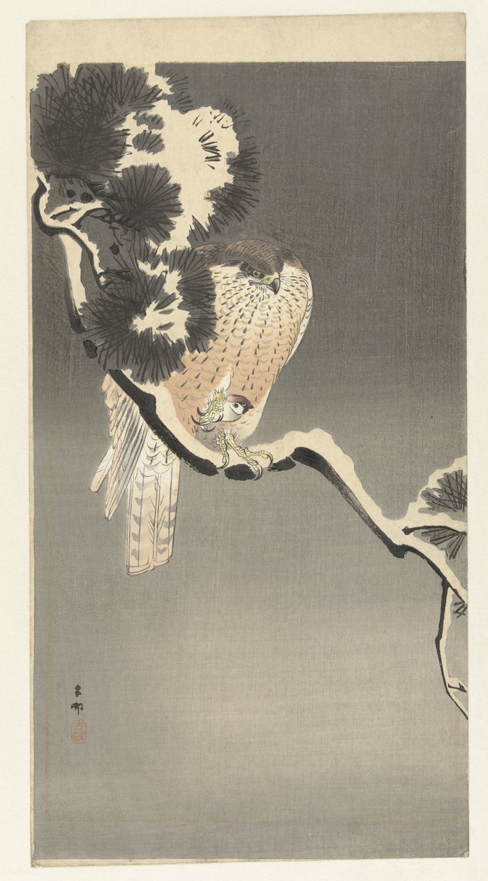 haukka musin kanssa tekijältä Ohara Koson