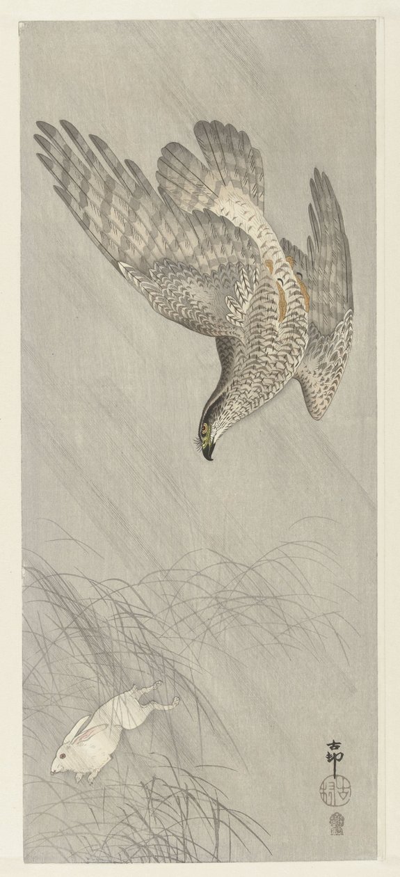 Goshawk metsästävä jänis tekijältä Ohara Koson