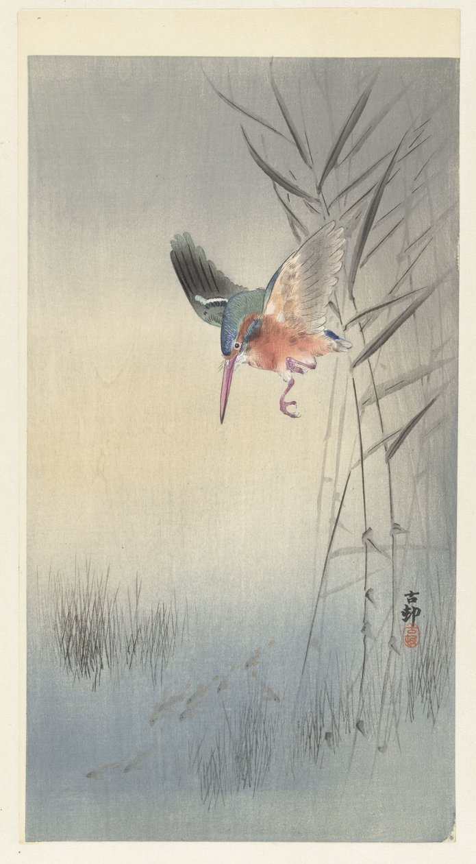 Kingfisher metsästää kaloja tekijältä Ohara Koson