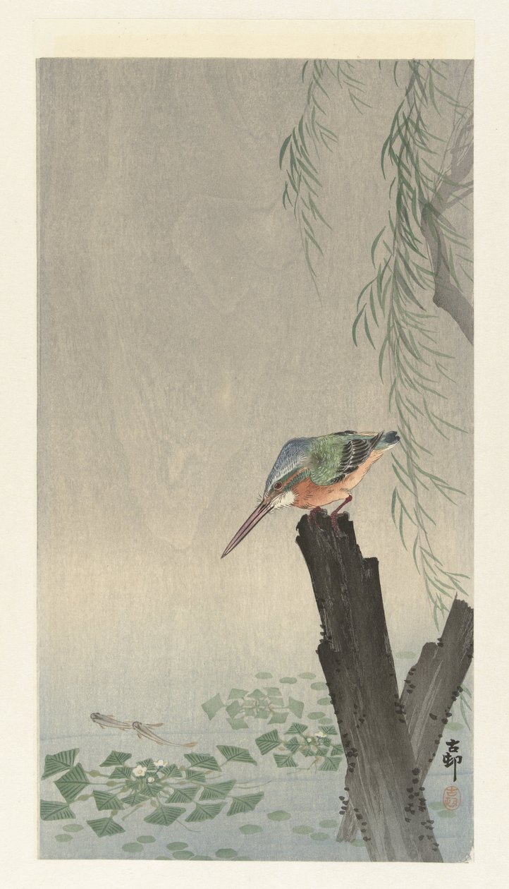 Kingfisher kannolla tekijältä Ohara Koson