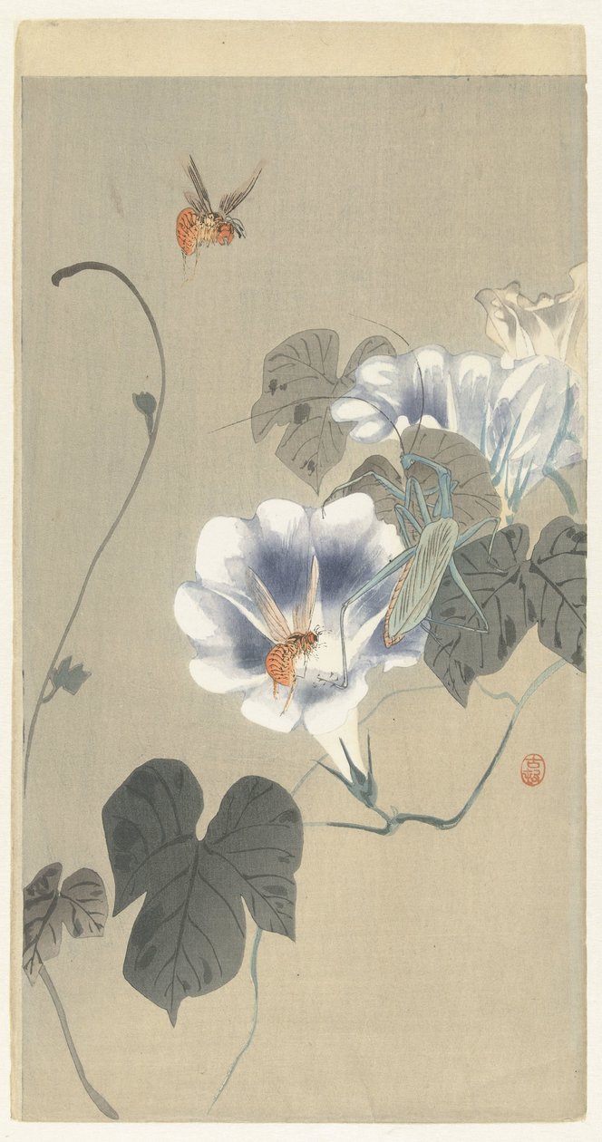 Hyönteiset sideruohossa tekijältä Ohara Koson