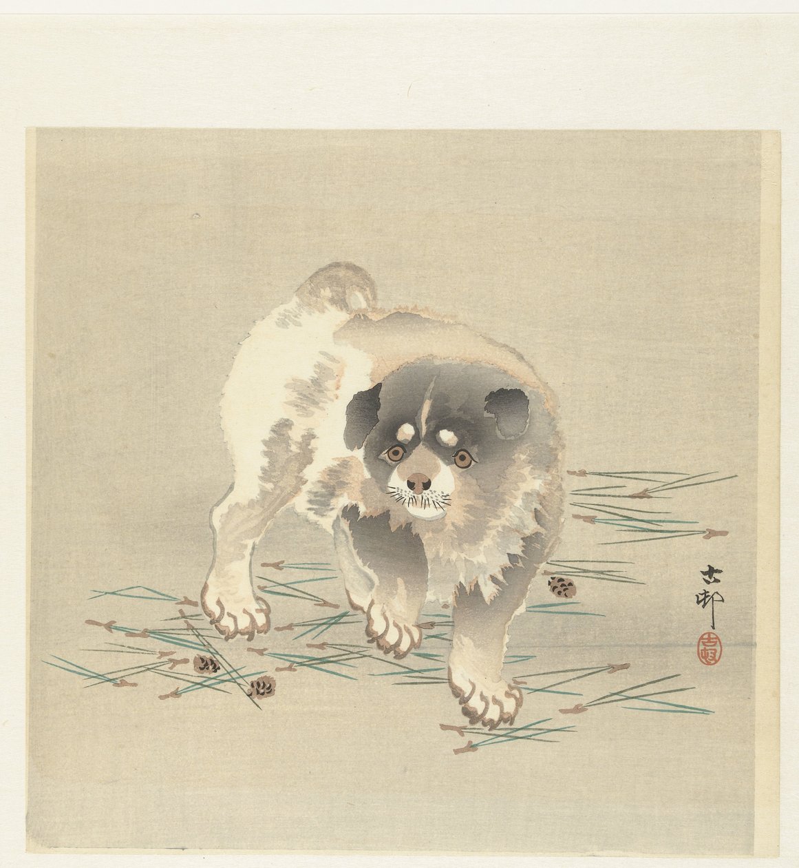 nuori koira tekijältä Ohara Koson