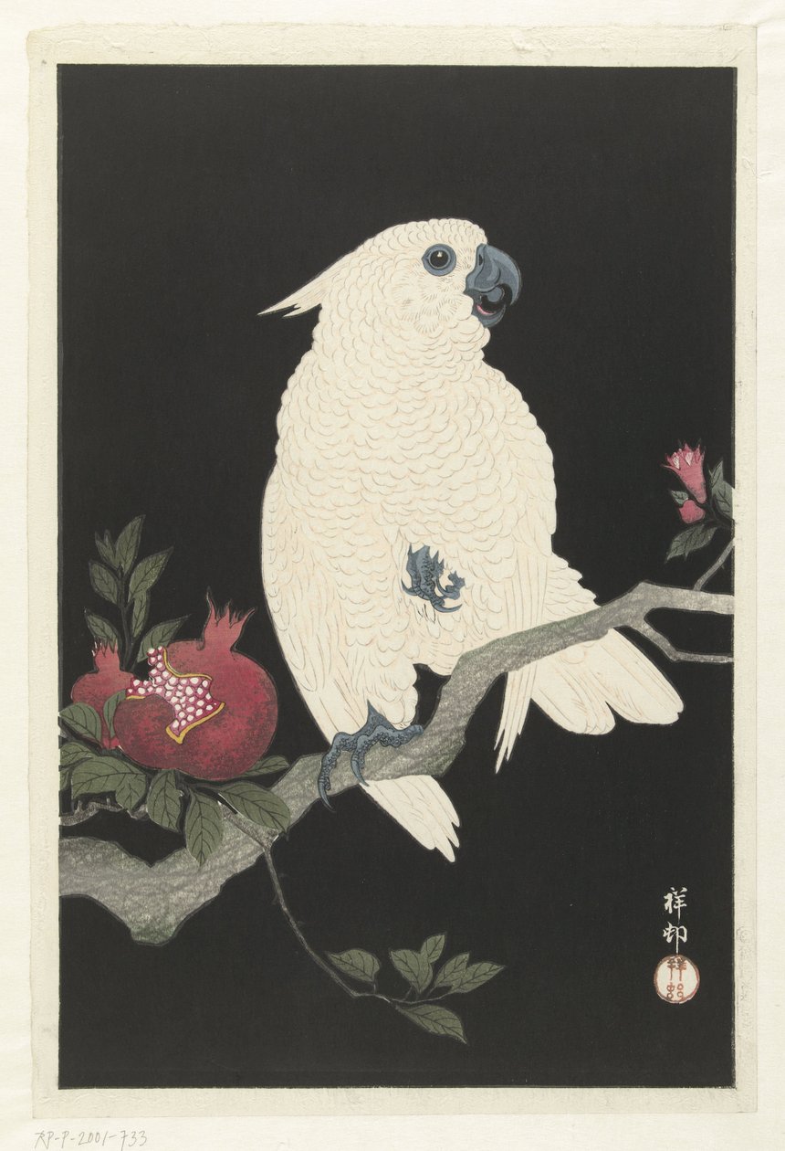 Kakadu ja granaattiomena tekijältä Ohara Koson
