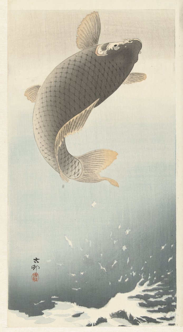 Karppi tekijältä Ohara Koson