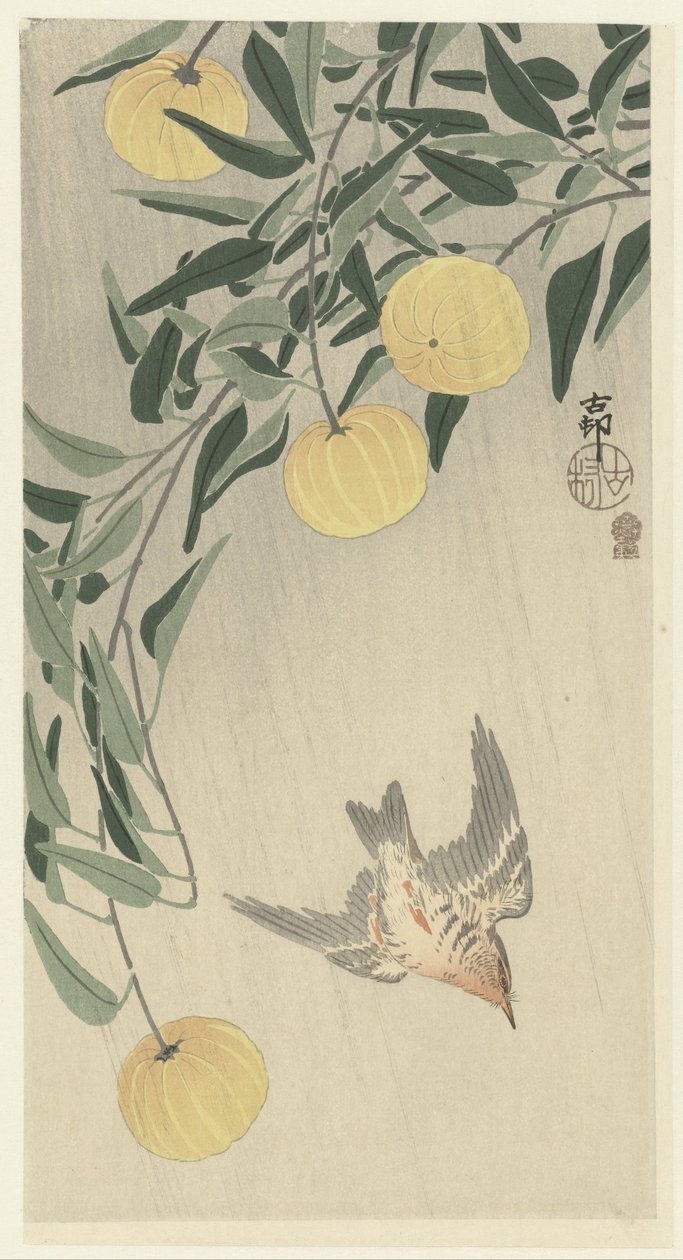 Käki sateessa tekijältä Ohara Koson