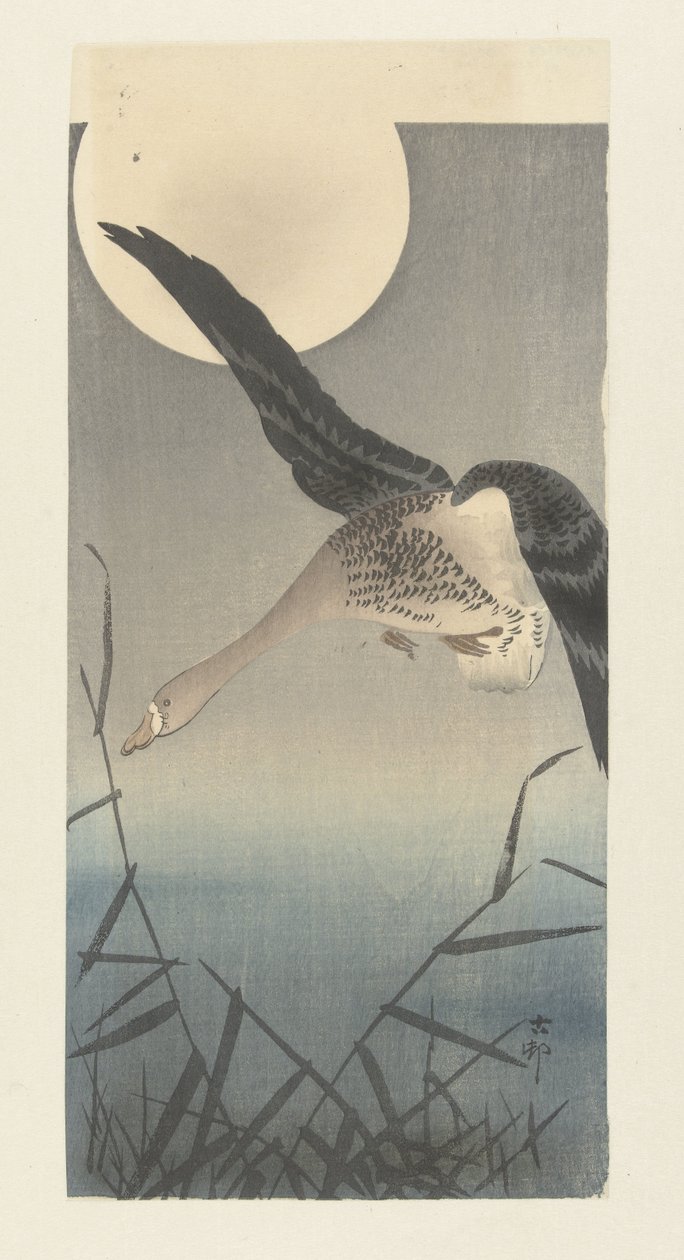 Valkorintahanhi täysikuussa tekijältä Ohara Koson