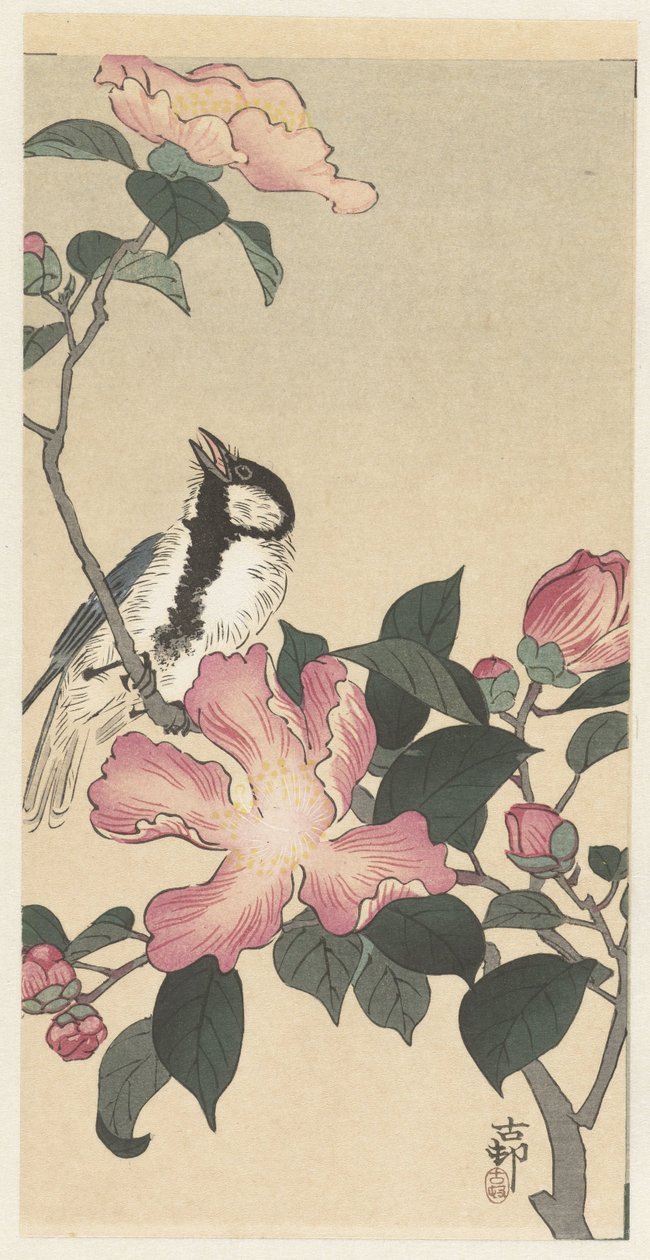 Talitiainen oksalla vaaleanpunaisilla kukilla tekijältä Ohara Koson