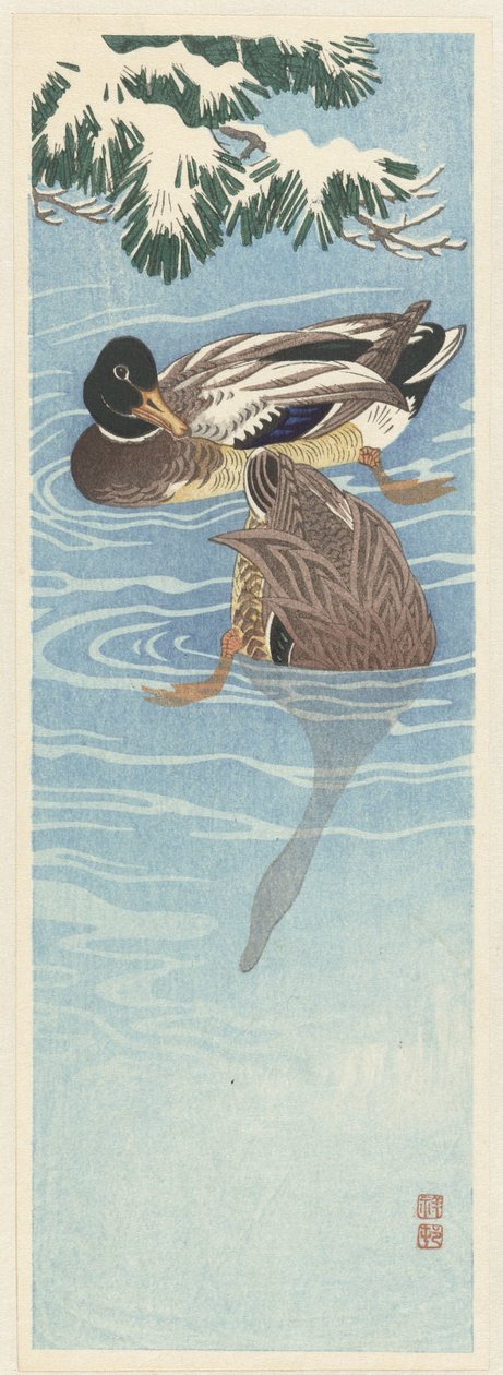 Pari sinisorsaa vedessä tekijältä Ohara Koson