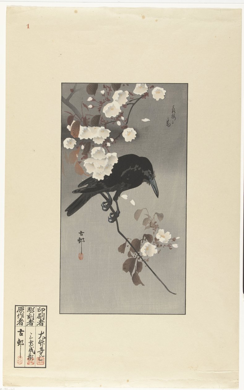 Varis ja kirsikankukka Hana sakura no tori (otsikko esineessä) tekijältä Ohara Koson