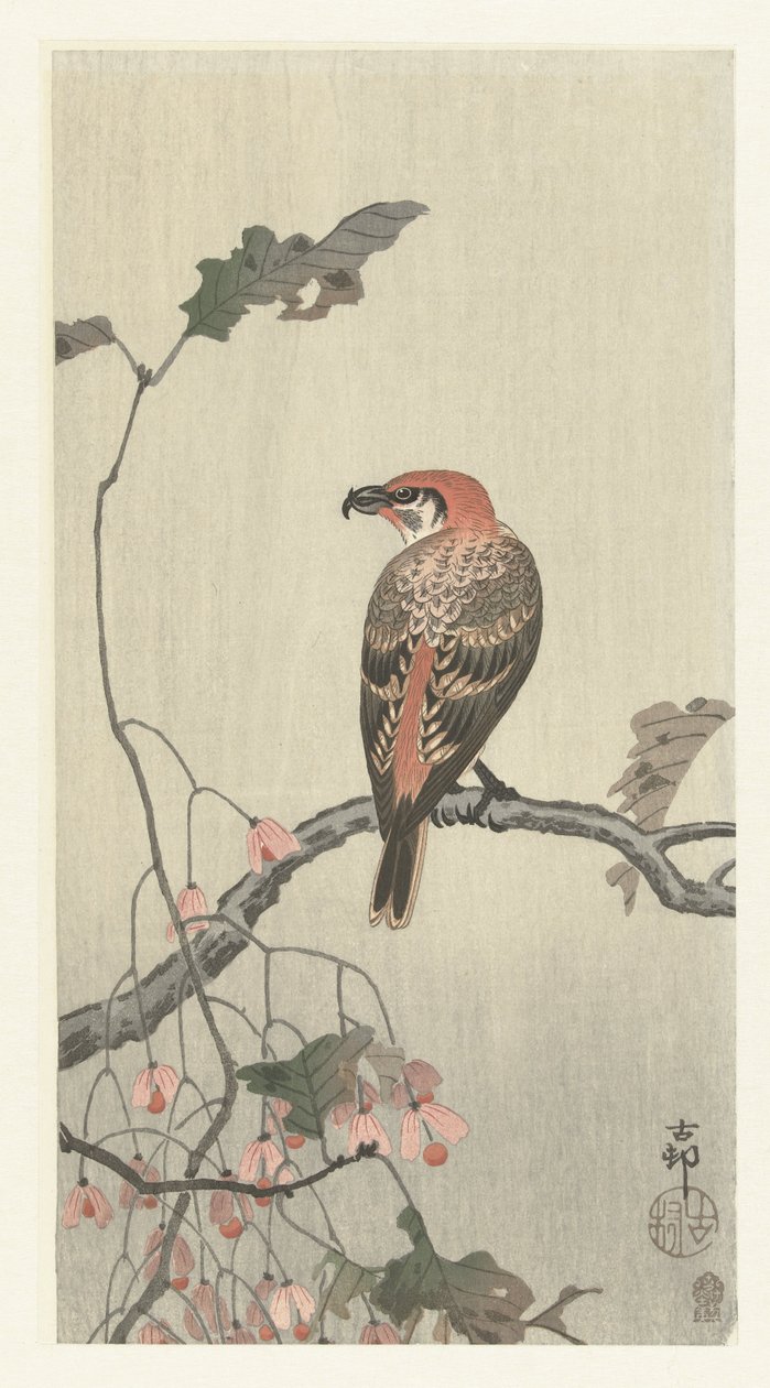 Ristinokka puun oksalla tekijältä Ohara Koson