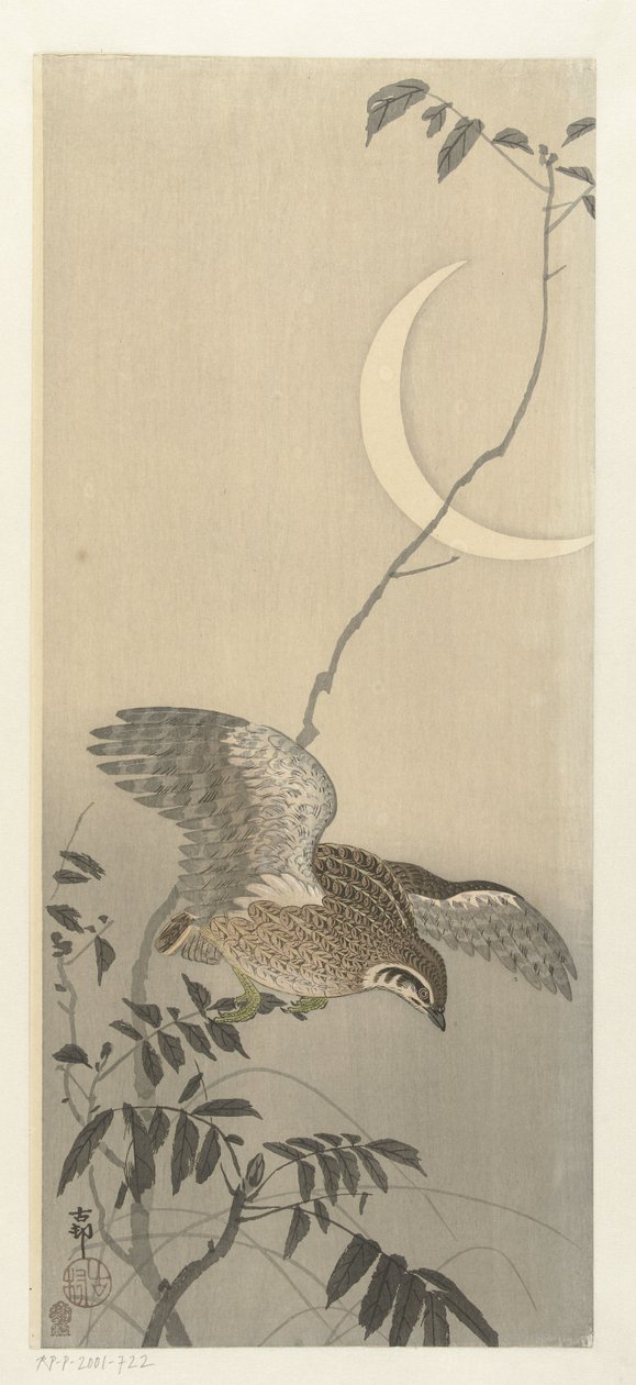 Viiriäinen sirppikuussa tekijältä Ohara Koson
