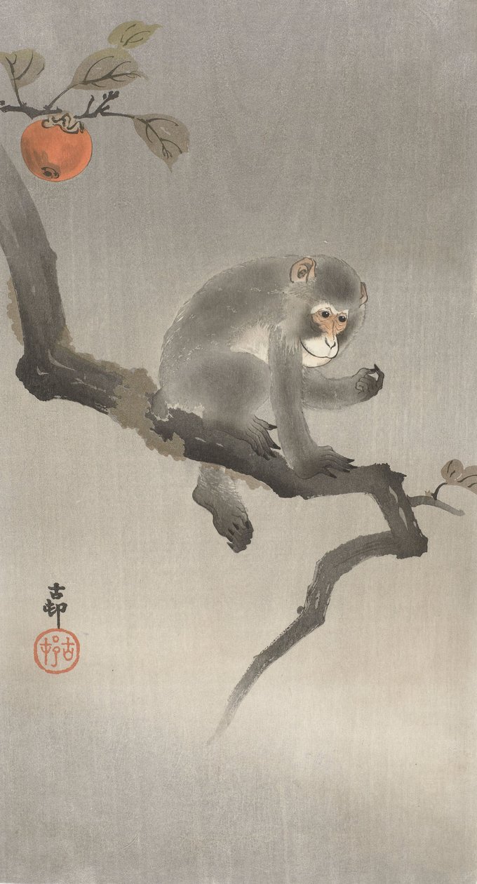Apina hedelmäpuussa, 1900-30 (väripuupiirros) tekijältä Ohara Koson