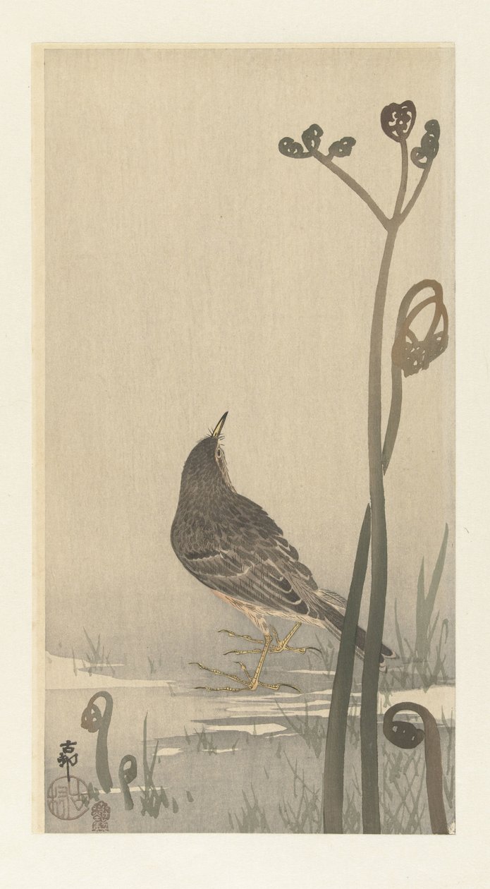 Piper rantakadulla tekijältä Ohara Koson