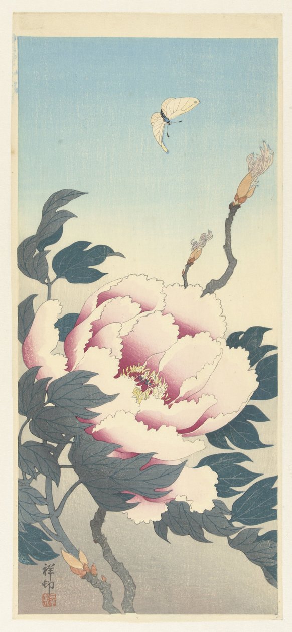 Pioni perhosen kanssa tekijältä Ohara Koson
