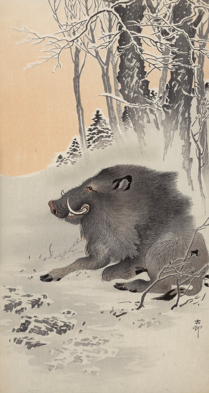 Makaava villisian lumen peittämässä maisemassa (värillinen puupainatus) tekijältä Ohara Koson