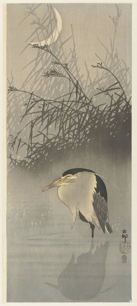 Heron uudessa kuussa tekijältä Ohara Koson