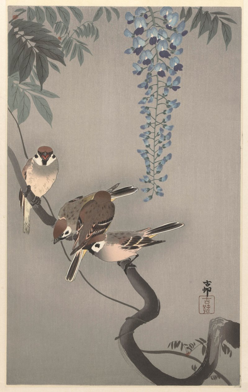 Sormus varpuset wisteriassa tekijältä Ohara Koson