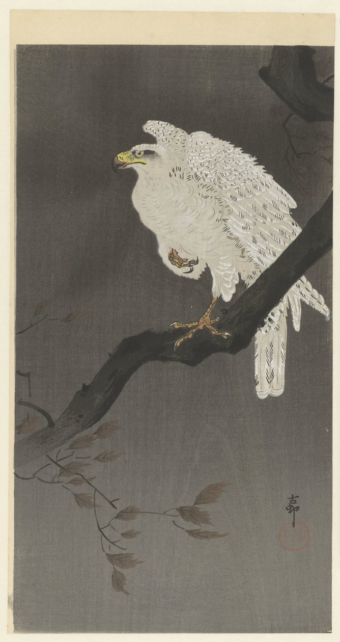 Luminen kotka puun oksalla tekijältä Ohara Koson