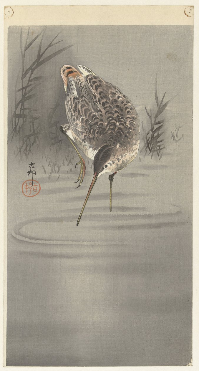 Leikkaa veteen tekijältä Ohara Koson