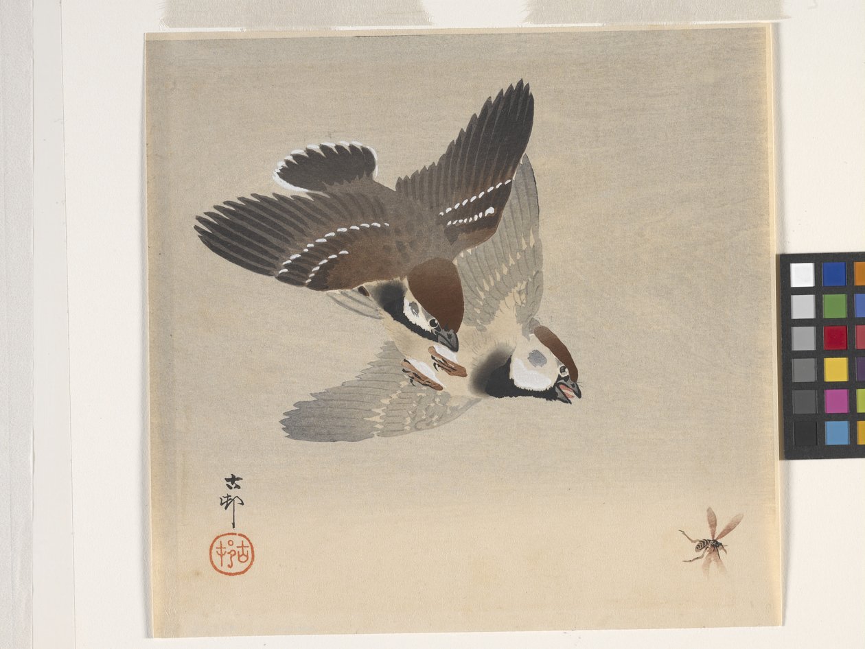 Sparrows Chasing Flying Insect (värillinen puupalikkaprintti) tekijältä Ohara Koson