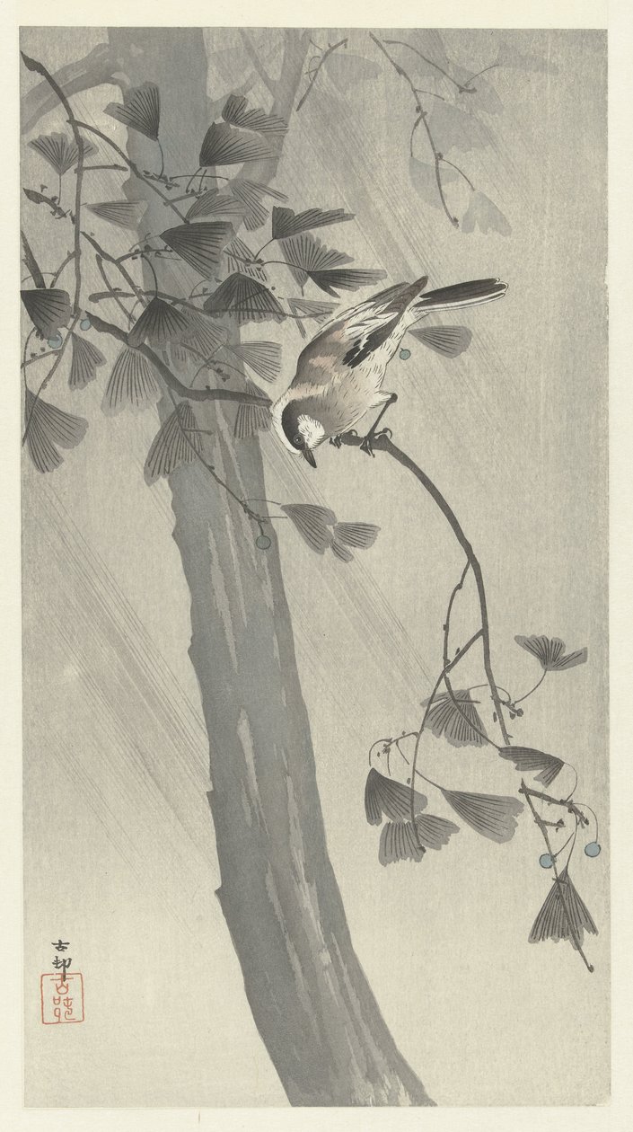 Pitkähäntätiainen myrskyssä tekijältä Ohara Koson