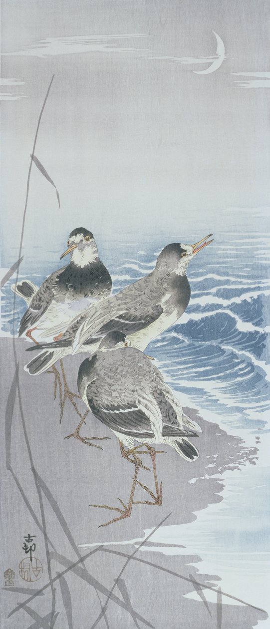 Kolme hiekkapiippua veden äärellä kaislikoiden edessä (värillinen puupainatus) tekijältä Ohara Koson