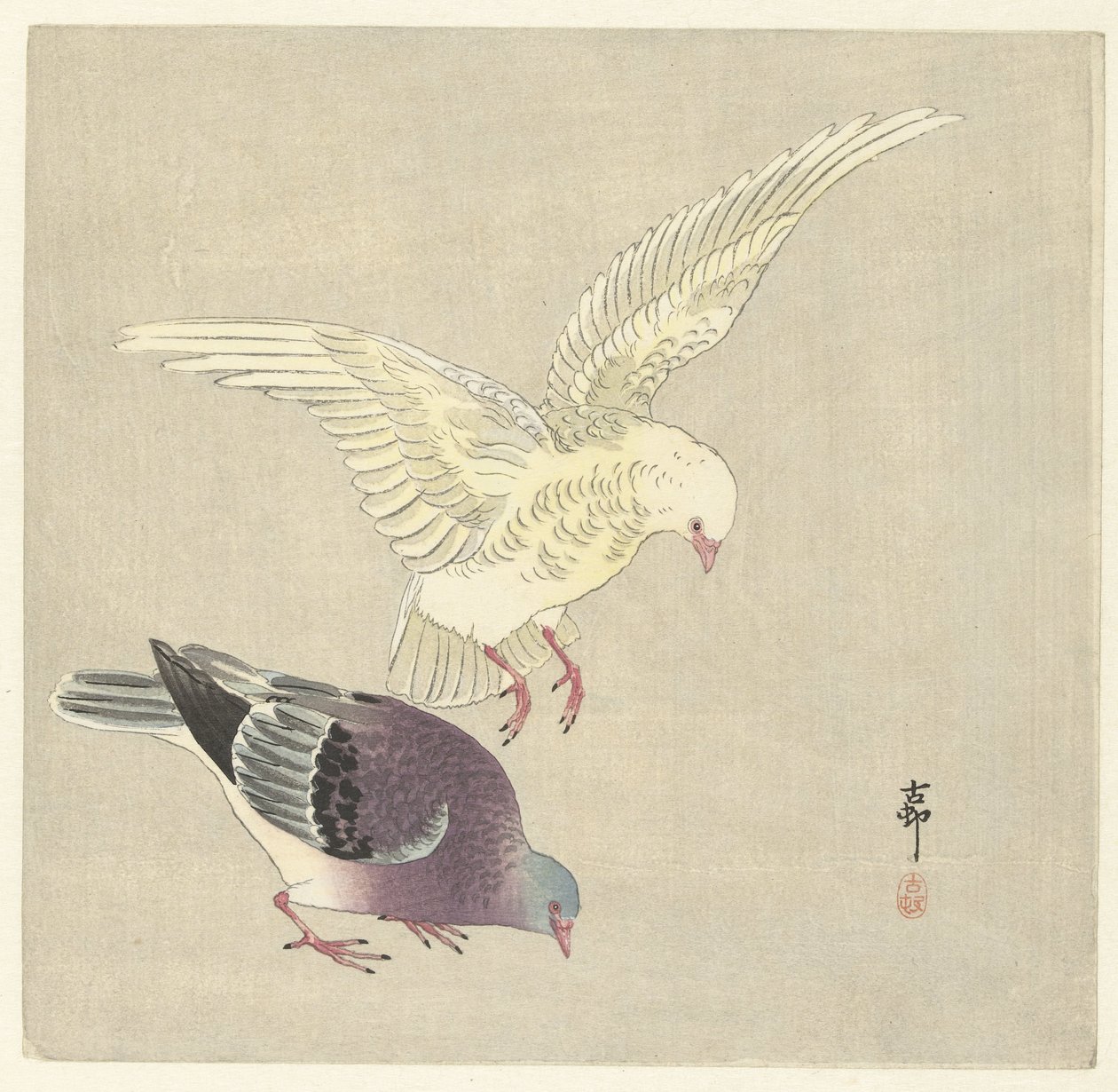 Kaksi kyyhkystä tekijältä Ohara Koson