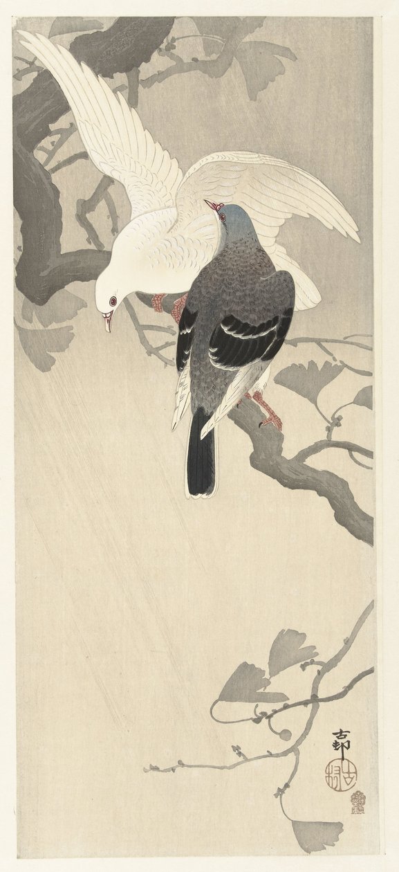 Kaksi kyyhkystä oksalla tekijältä Ohara Koson